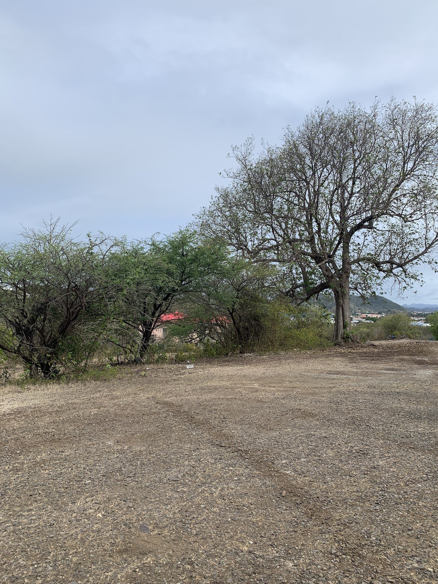 Land for Sale in Bellvue