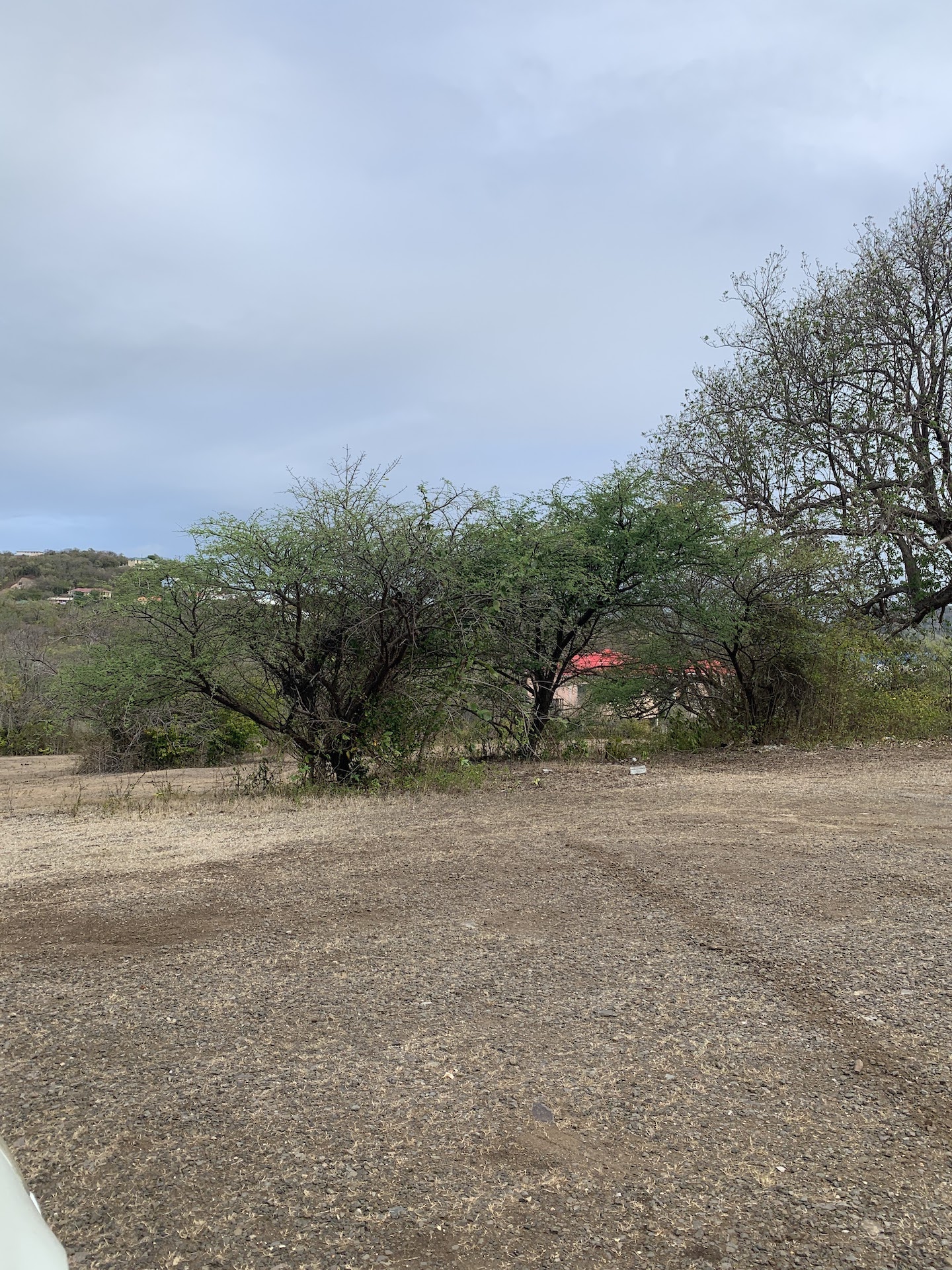 Land for Sale in Bellvue