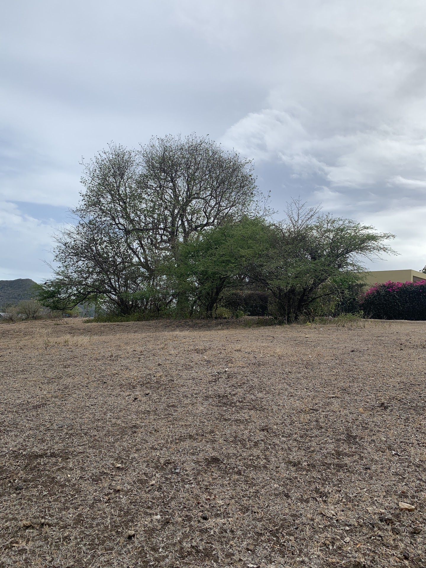 Land for Sale in Bellvue - Gros Islet