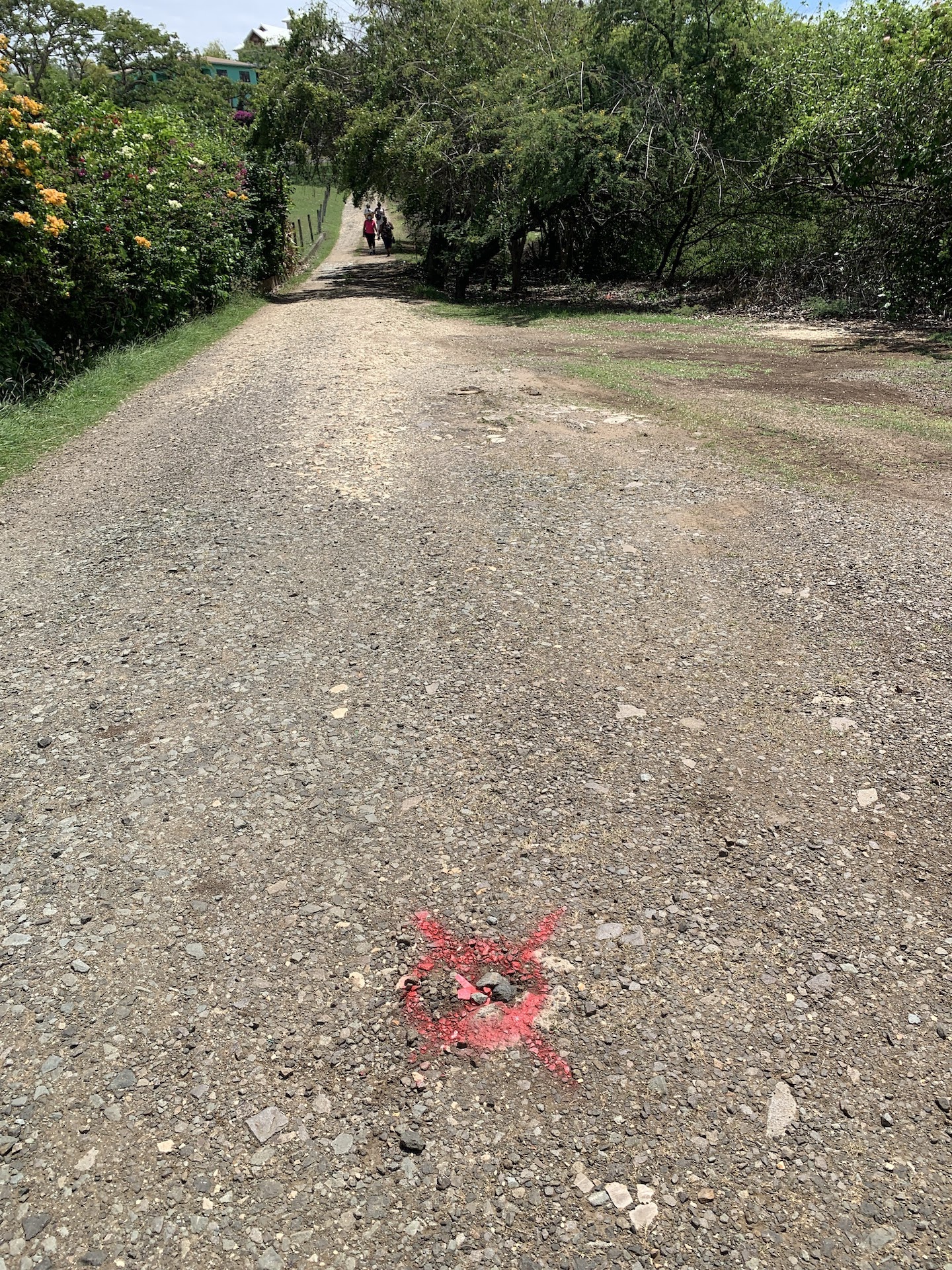 Residential Land for Sale in Bellvue