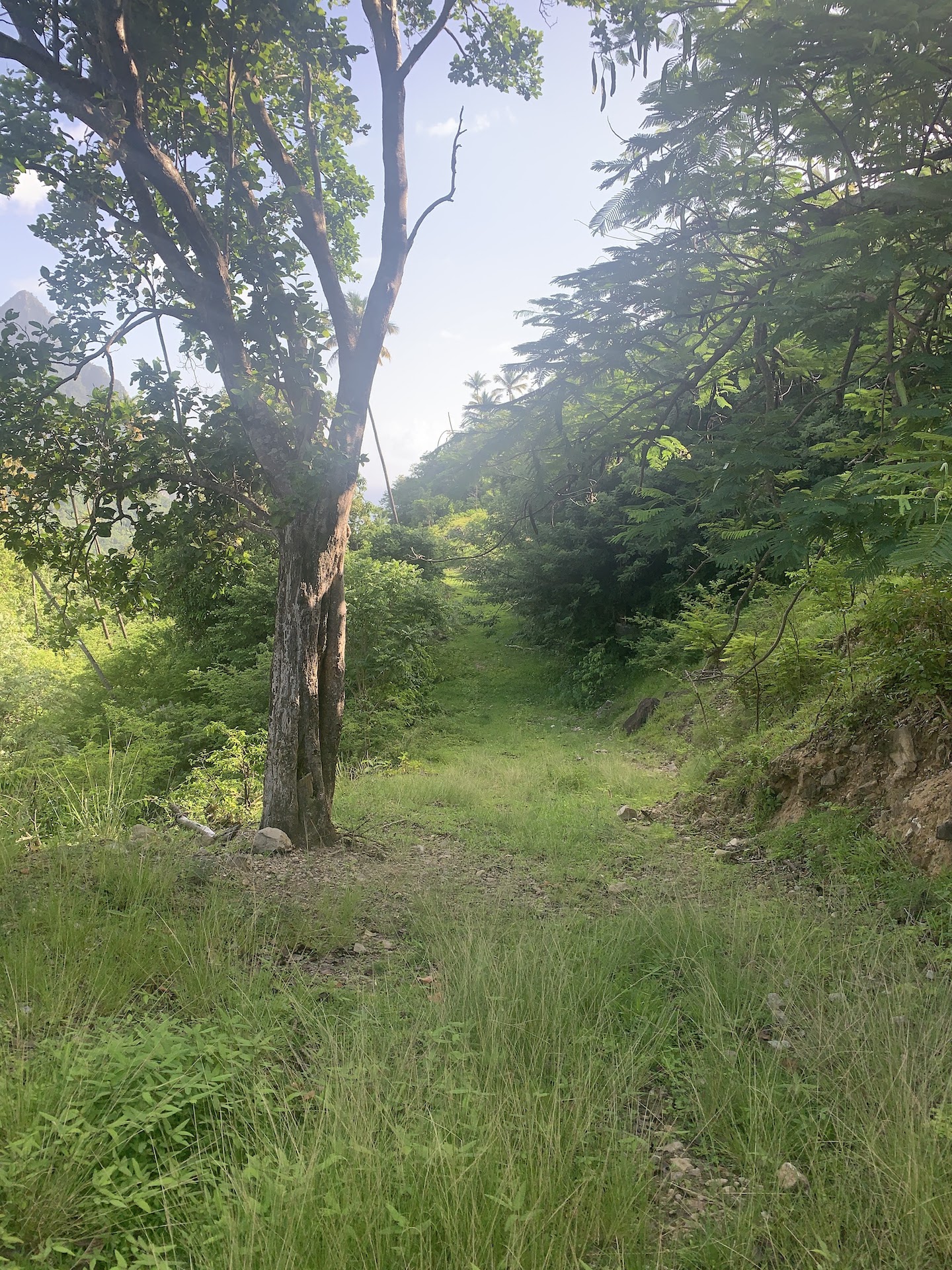 30 acres of land for sale in Soufriere