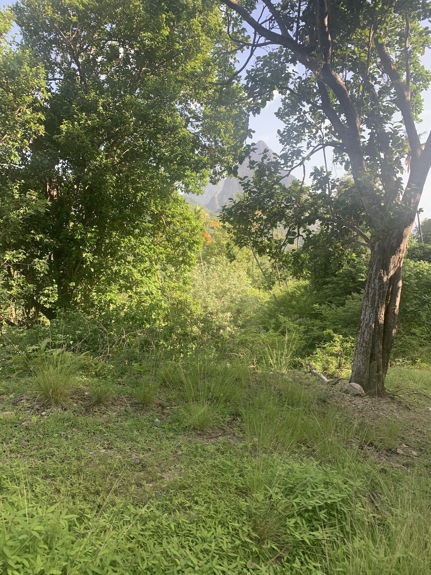 30 acres of land for sale in Saint Lucia