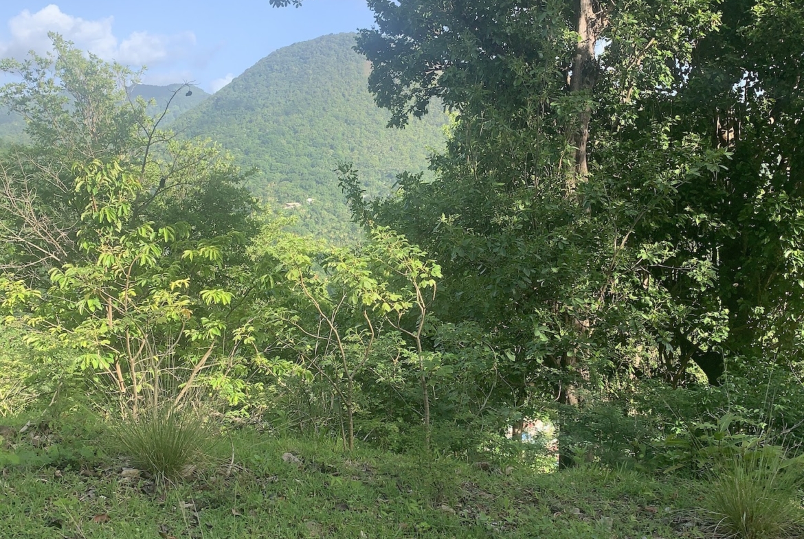 30 acres of Investment land for sale in Soufriere