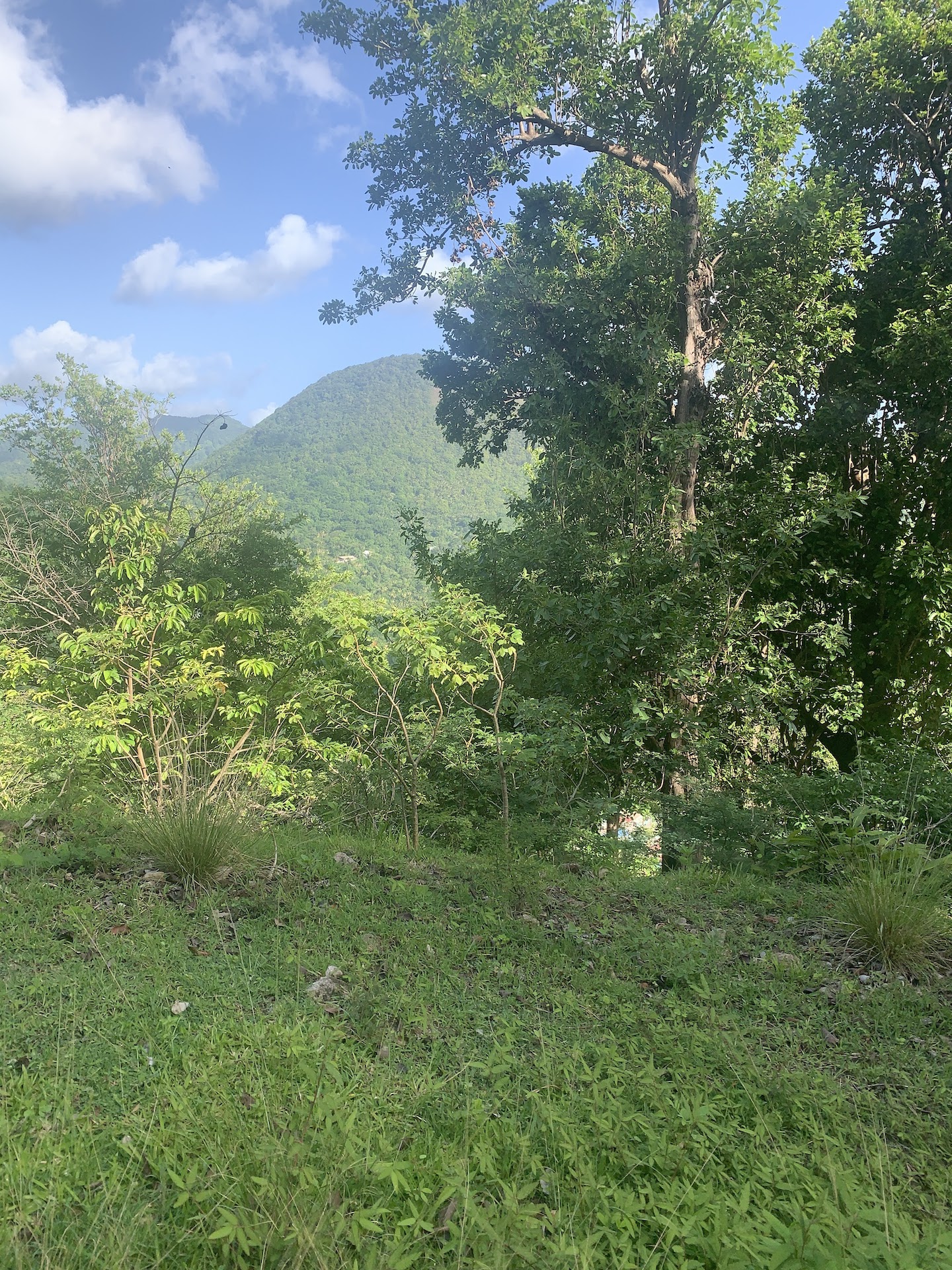 30 acres of Investment land for sale in Soufriere