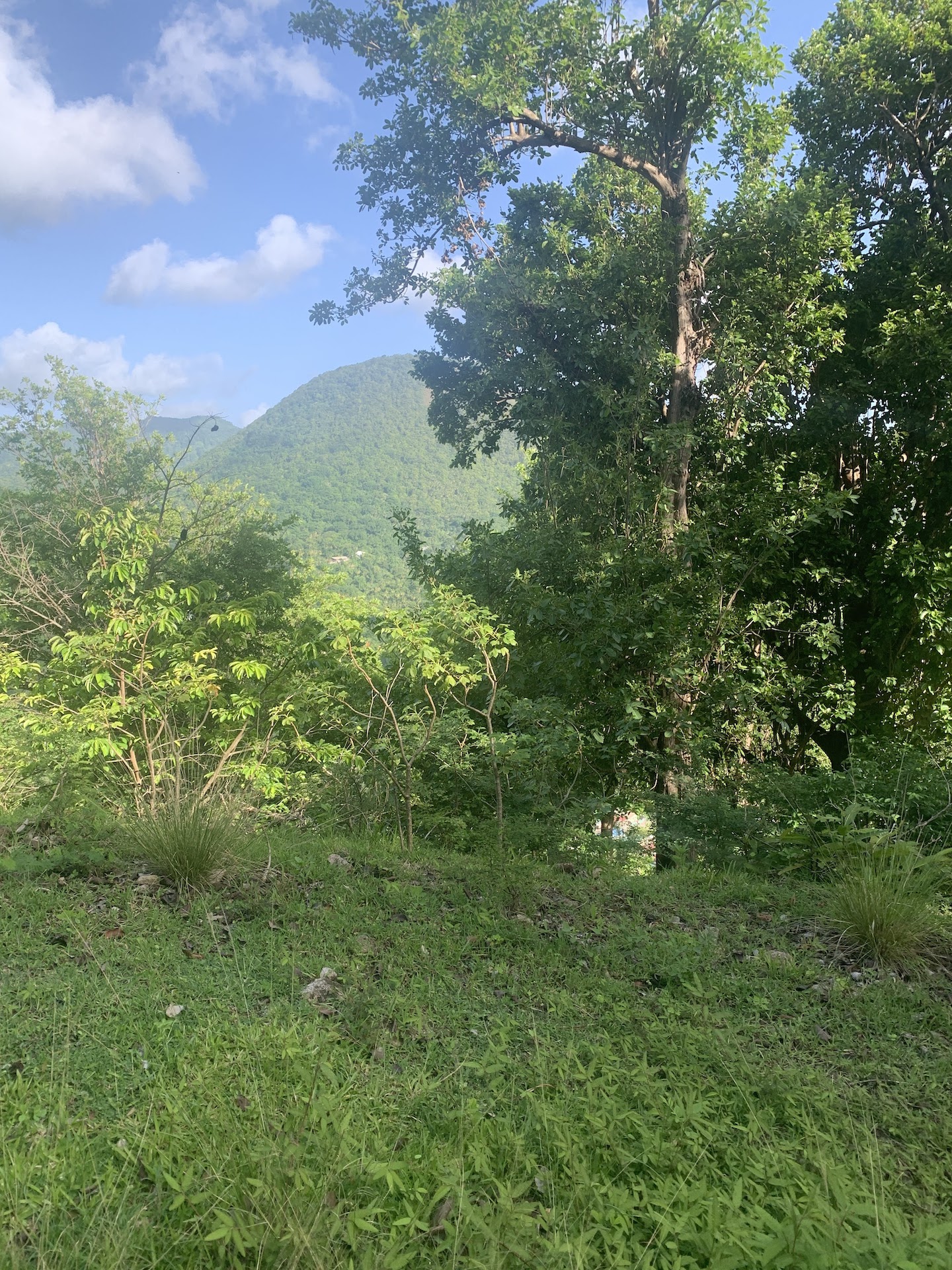 30 acres of Investment land for sale in Soufriere