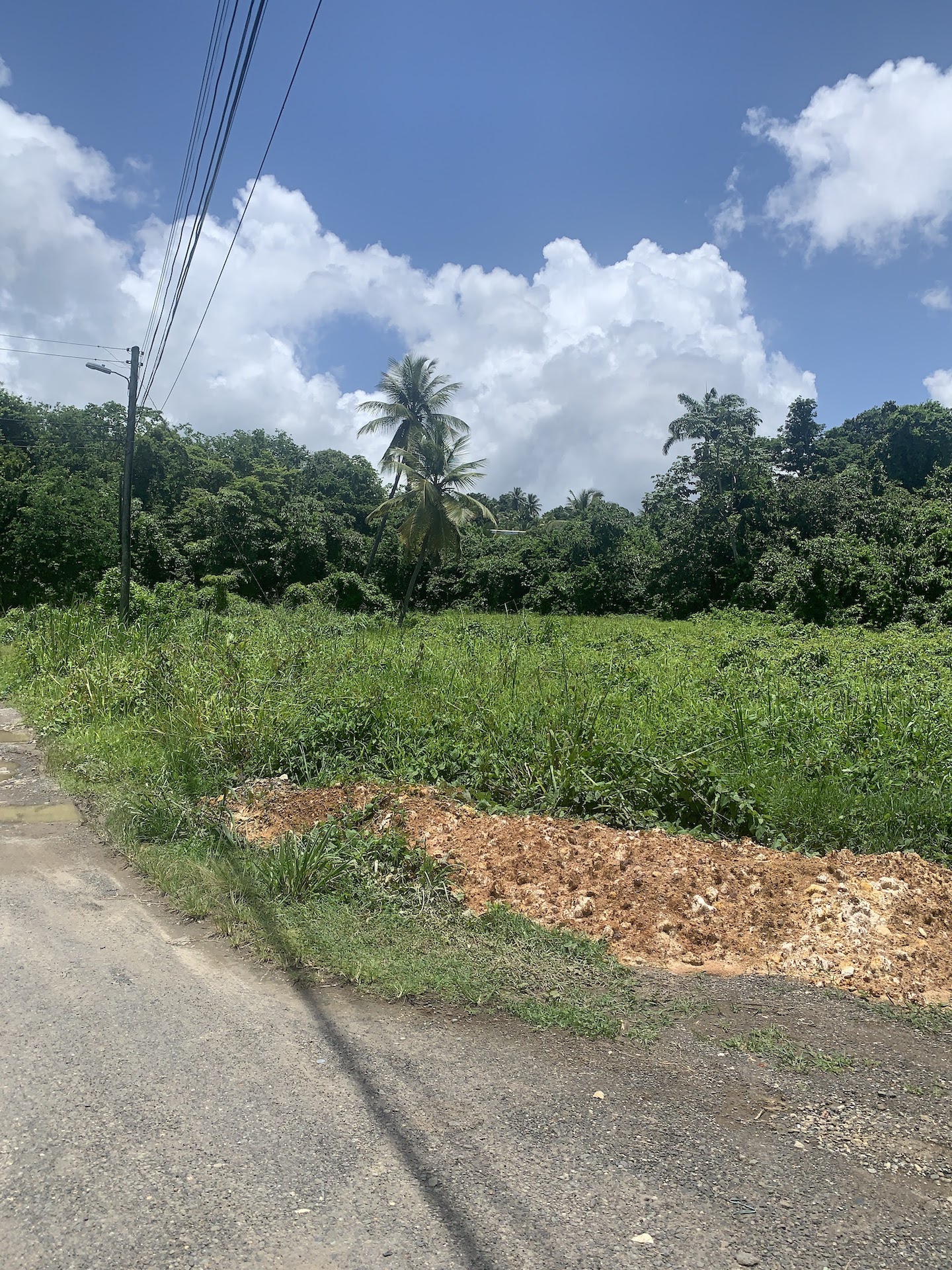 Land for sale in Ciceron