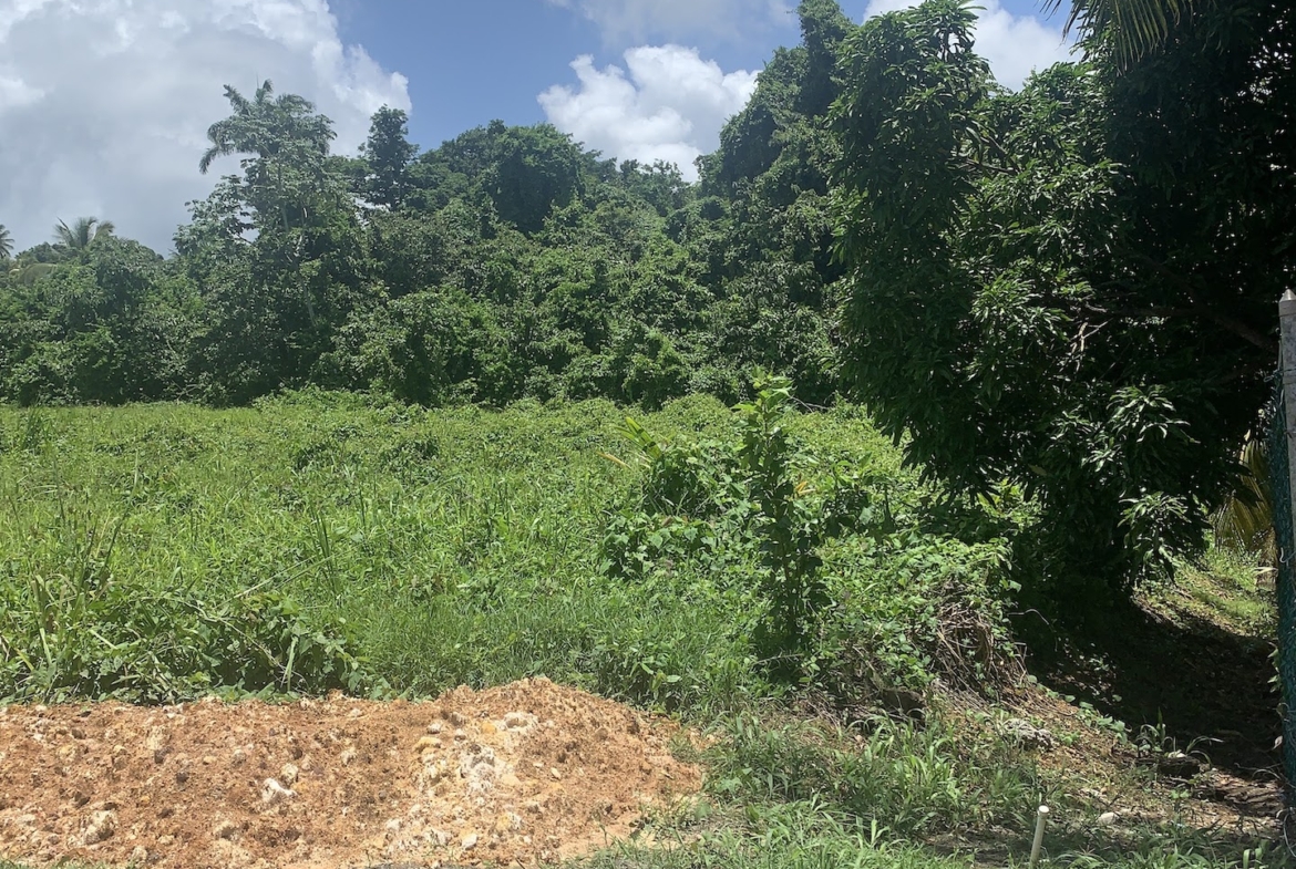 Land for sale in Ciceron - Castries