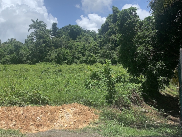 Land for sale in Ciceron - Castries