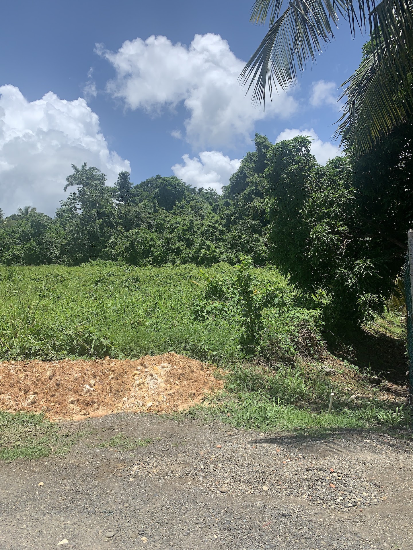 Two Lots For Sale in Ciceron, Castries Saint Lucia Real Estate Golden Hour Group