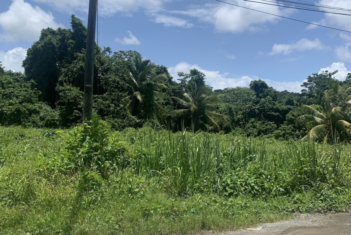 Flat Land for sale in Ciceron - Castries