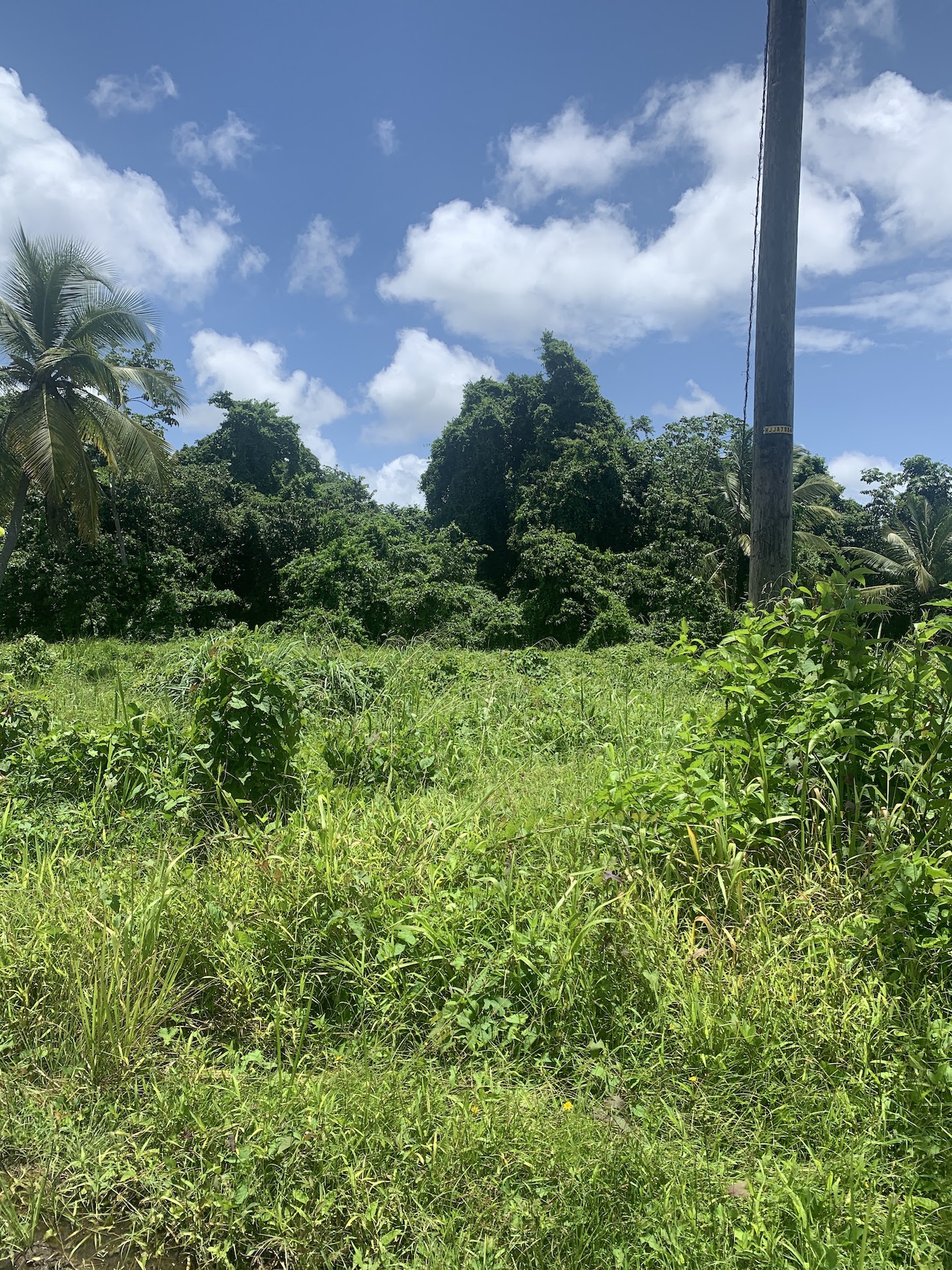 Property for sale in Ciceron - Castries
