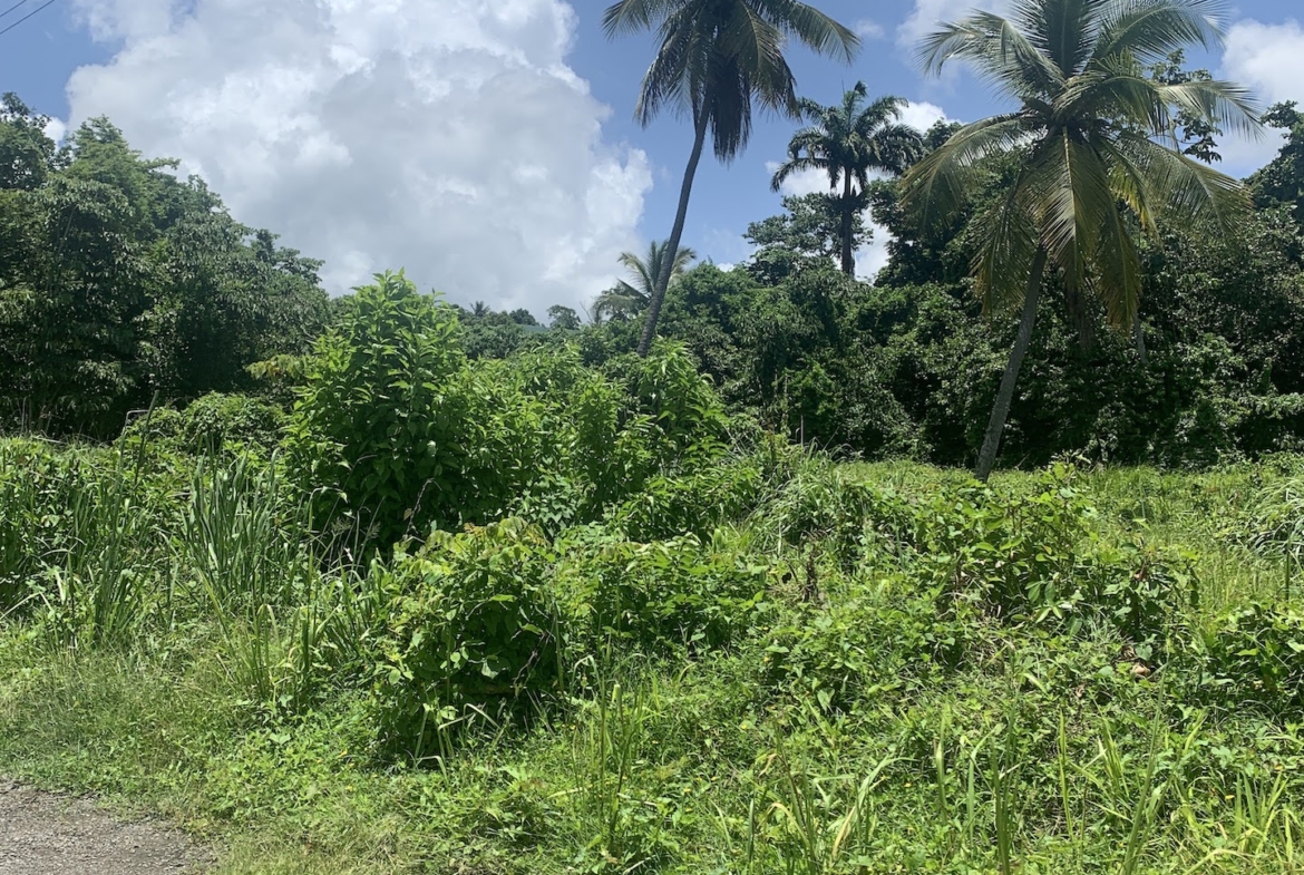 Property for sale in Ciceron - Castries