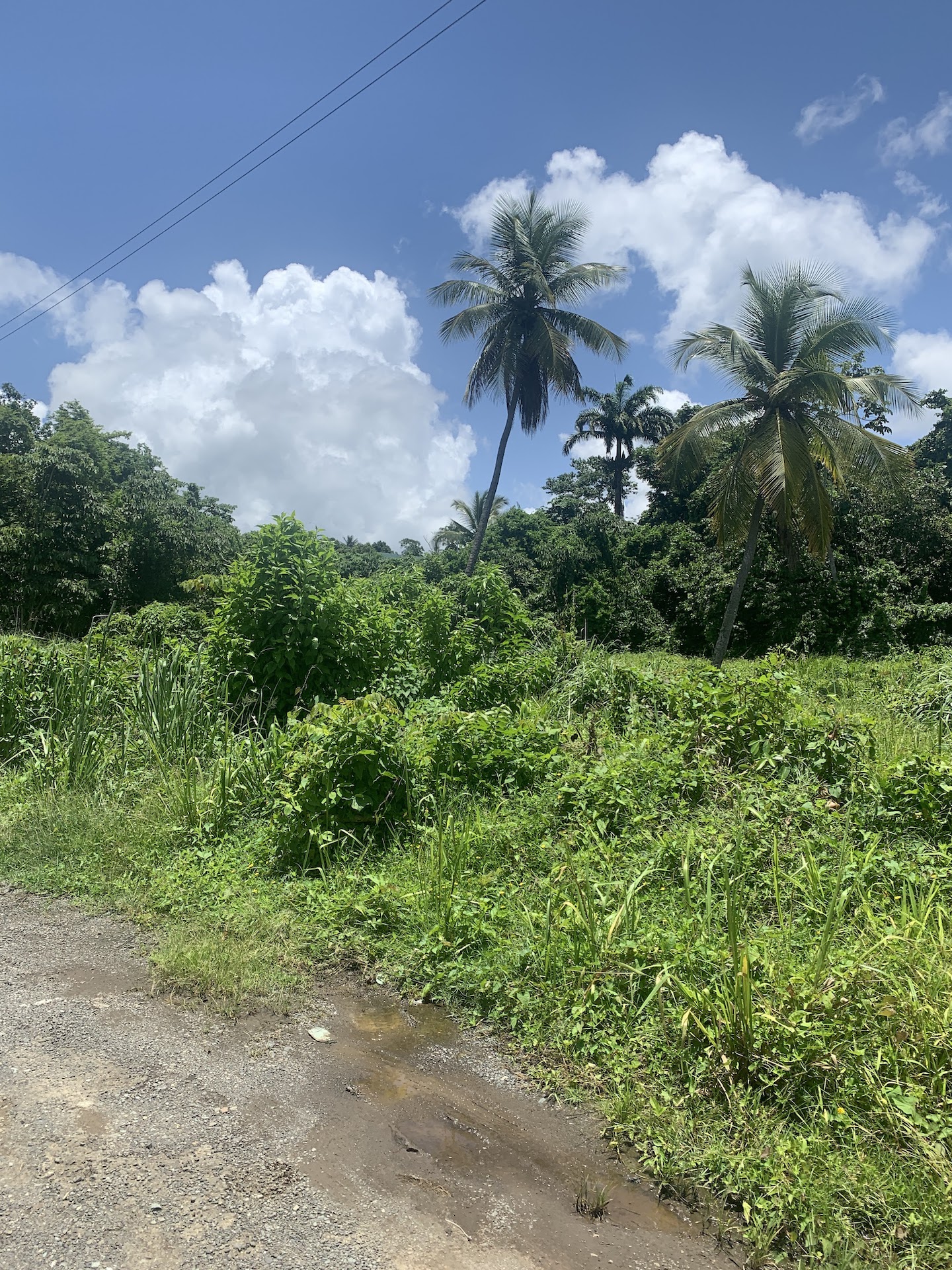 Property for sale in Ciceron - Castries