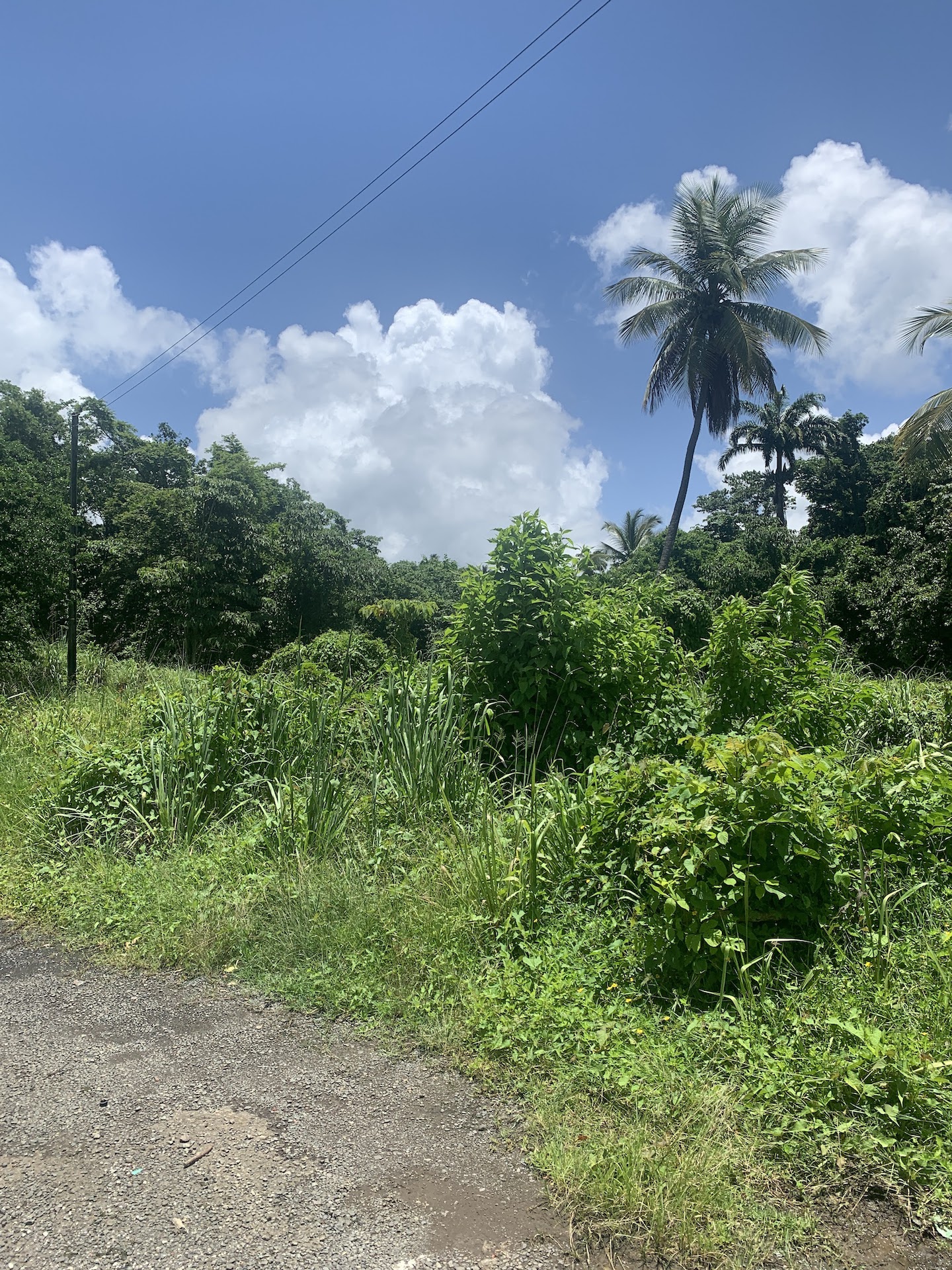 Property for sale in Ciceron