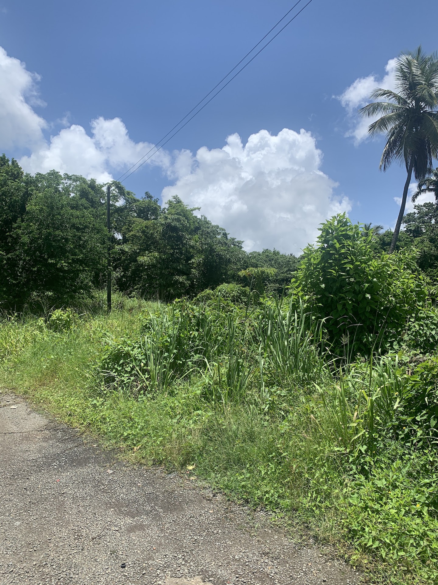 Property for sale in Ciceron