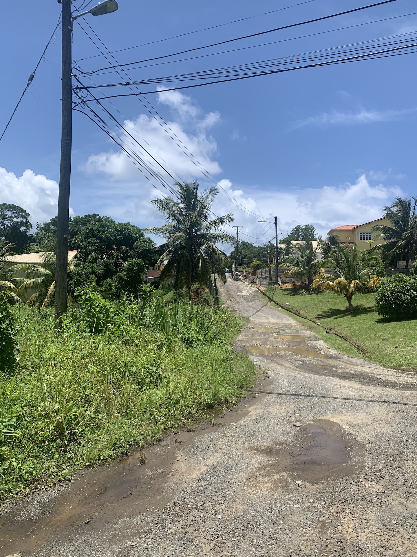 Lots for sale in Ciceron