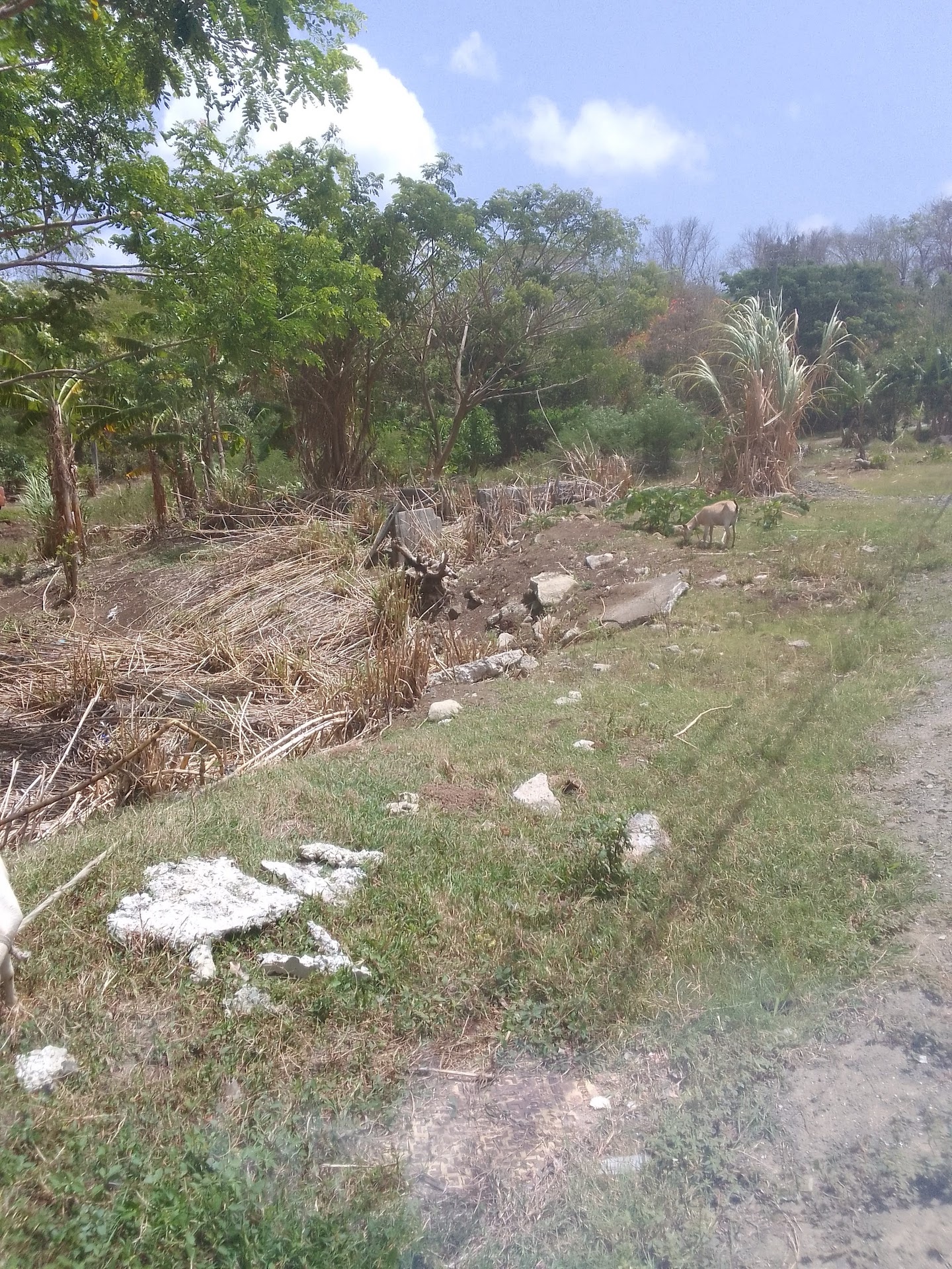Land for Sale in Choc Bay Gros Islet