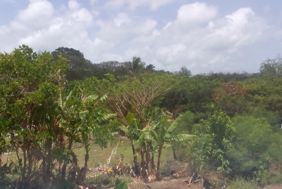 Land for Sale close to Choc Bay