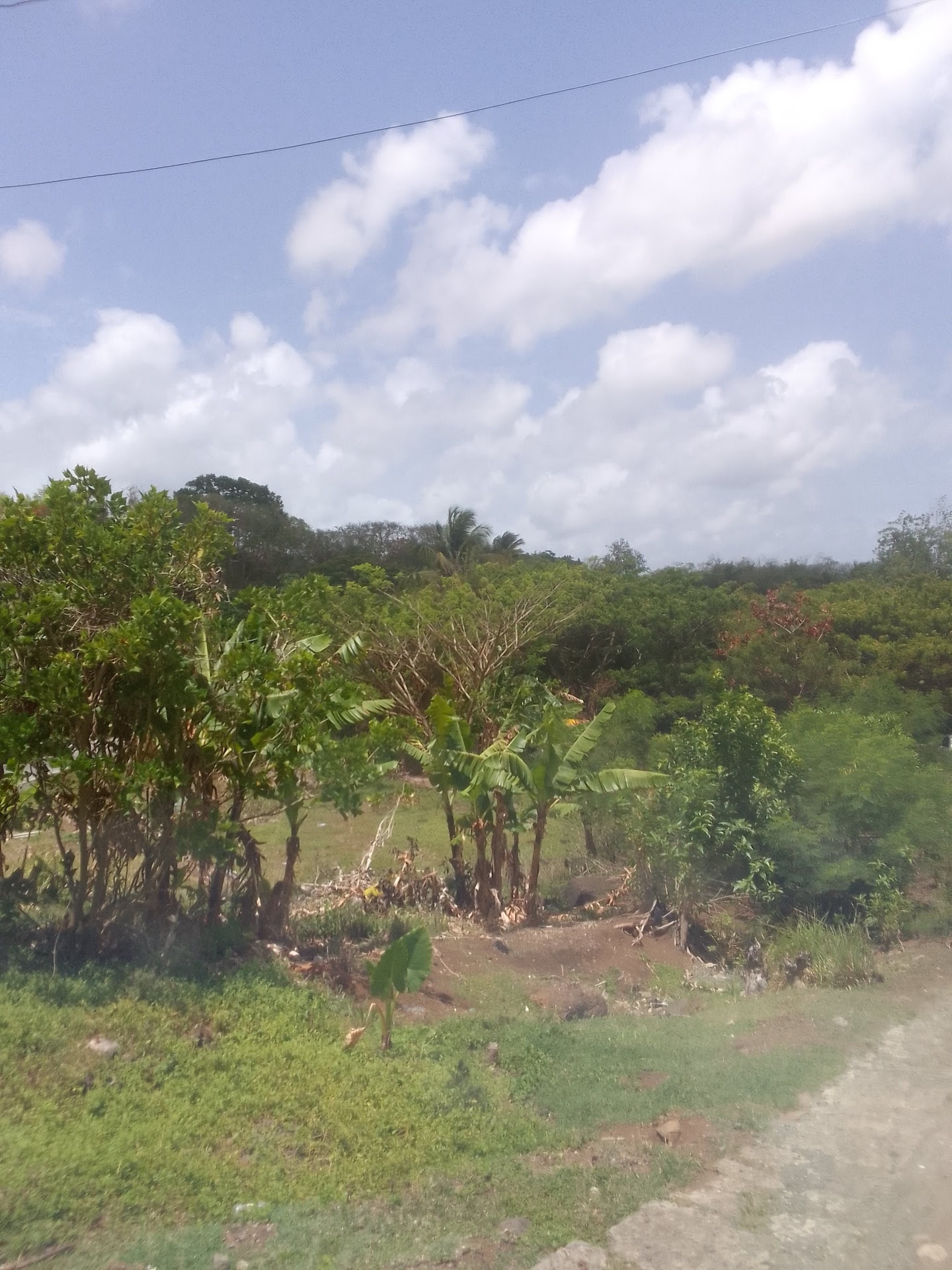 Land for Sale close to Choc Bay