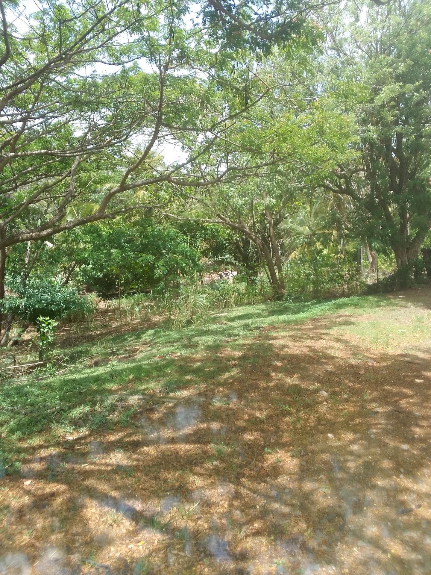 Real Estate for Sale close to Choc Bay