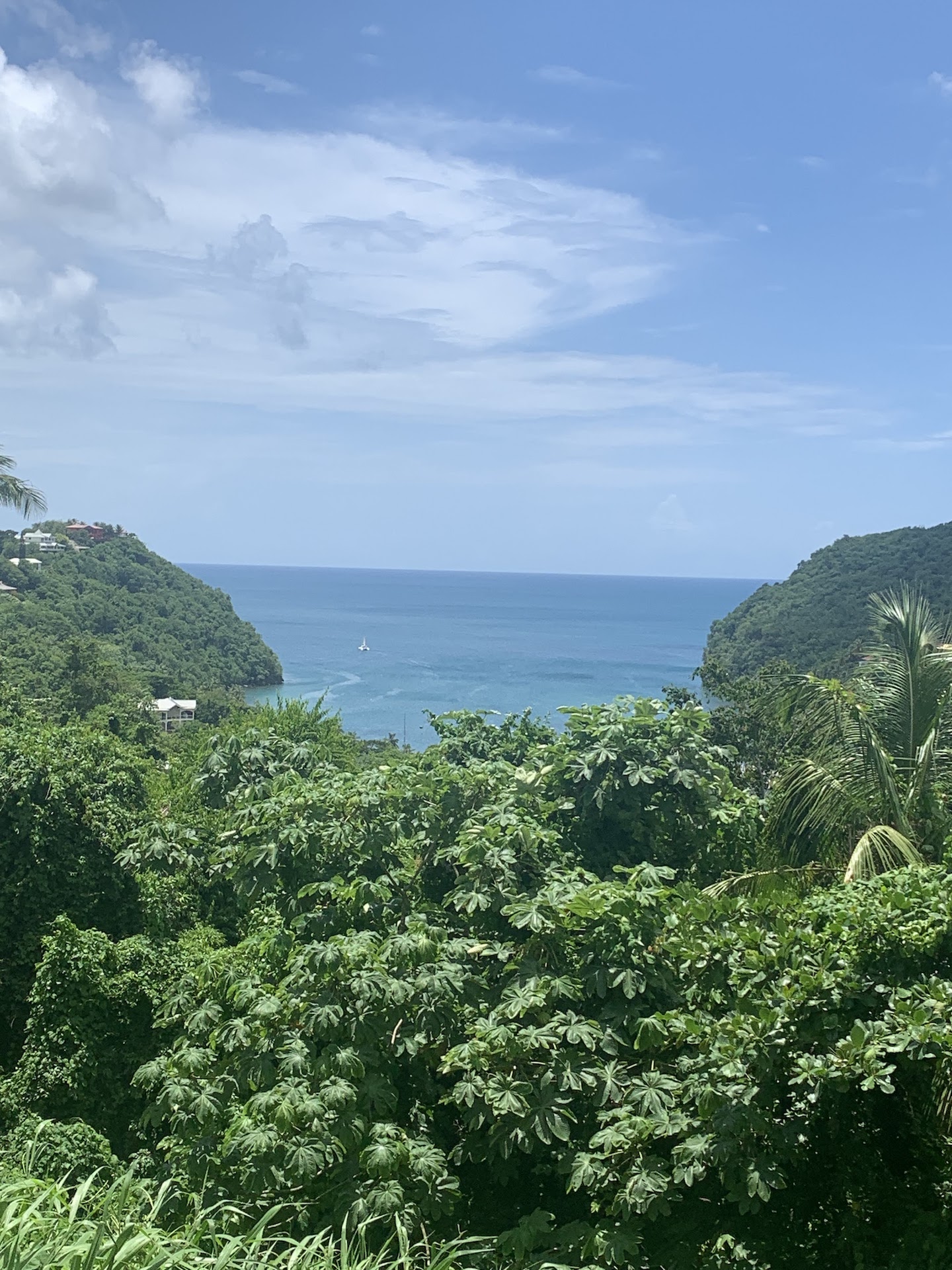 Sea View Land for Sale to build a home on in Marigot Bay
