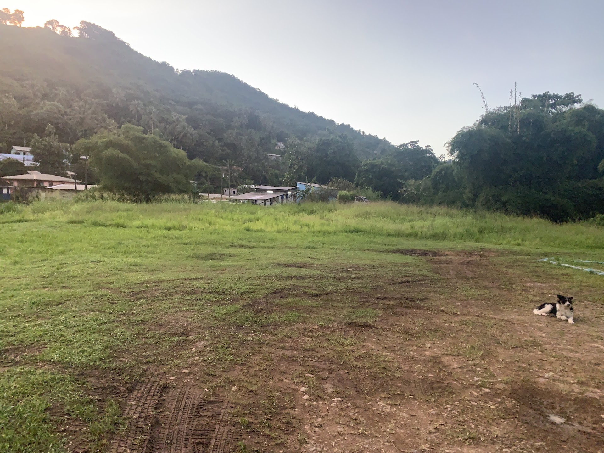 Almost An Acre of Commercial Land For Sale in Bexon