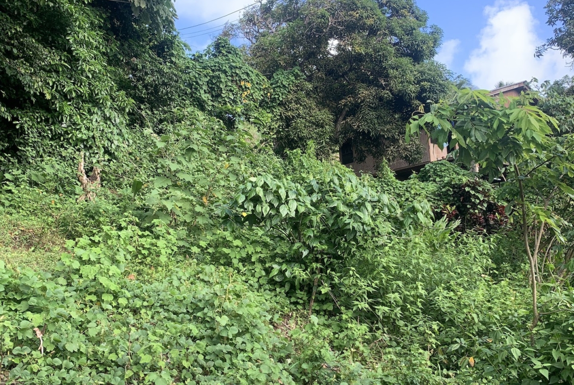 Satellite view of Land for sale in Desrameaux, Gros Islet 9