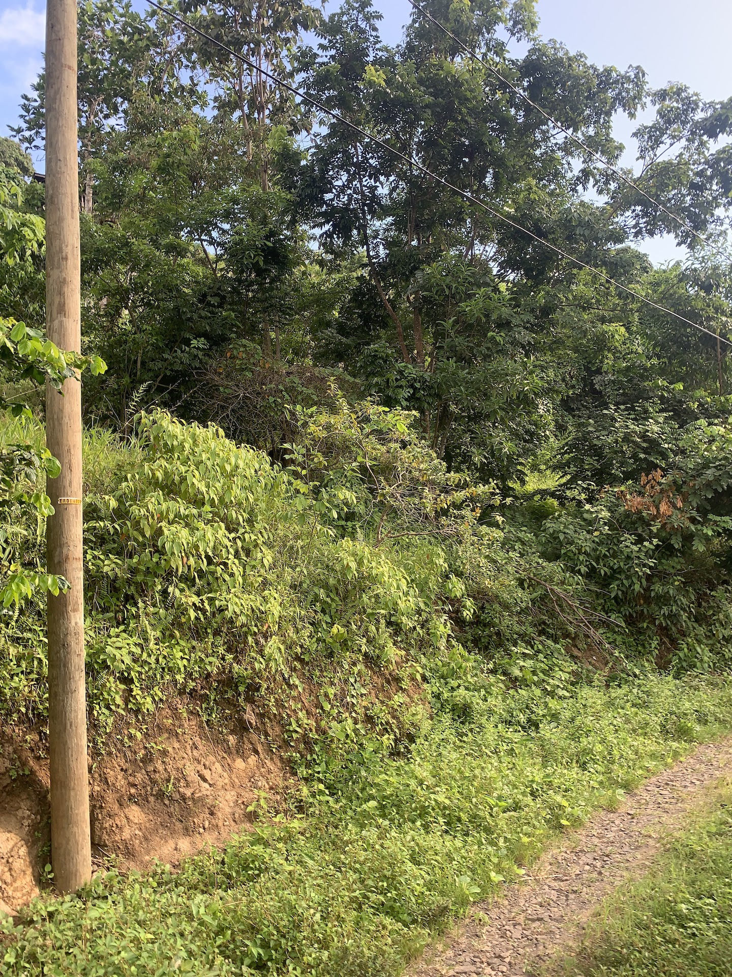 Satellite view of Land for sale in Desrameaux, Gros Islet 7