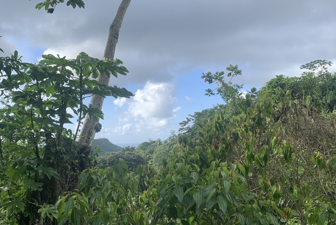 Satellite view of Land for sale in Desrameaux, Gros Islet 6
