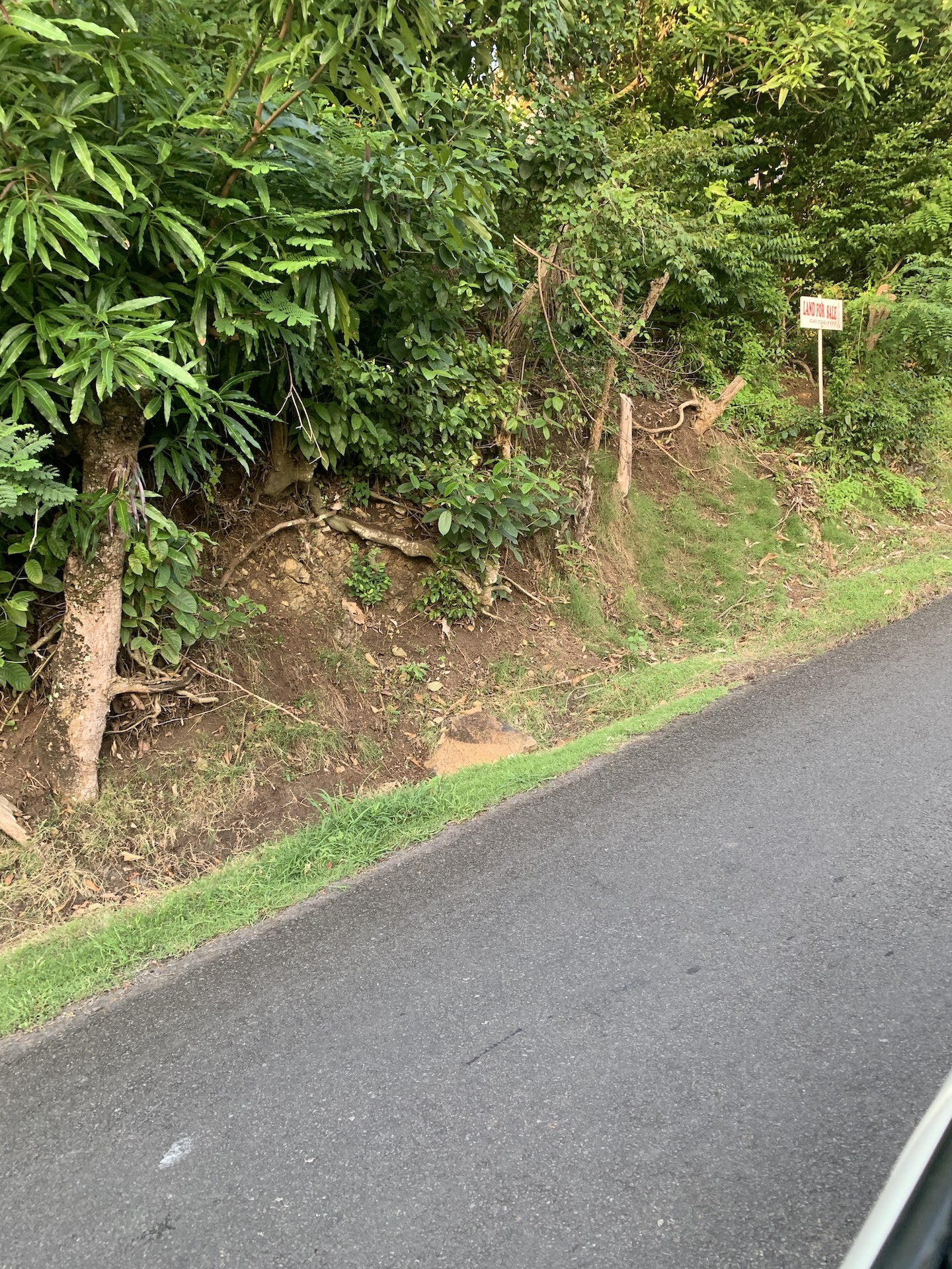 Satellite view of Land for sale in Desrameaux, Gros Islet 2