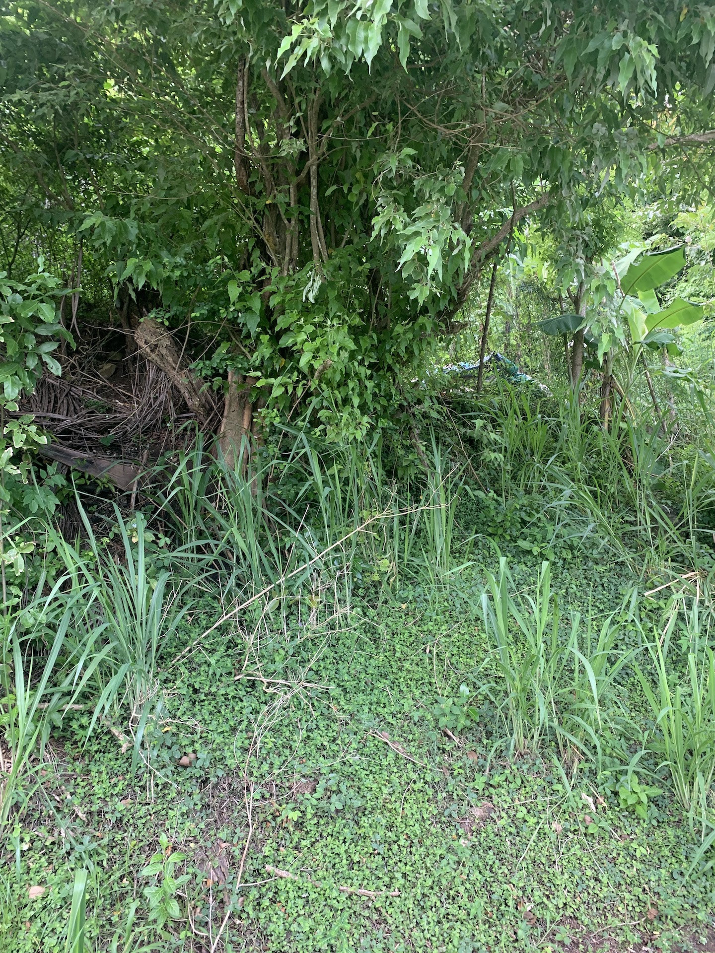 land for sale in desrameaux