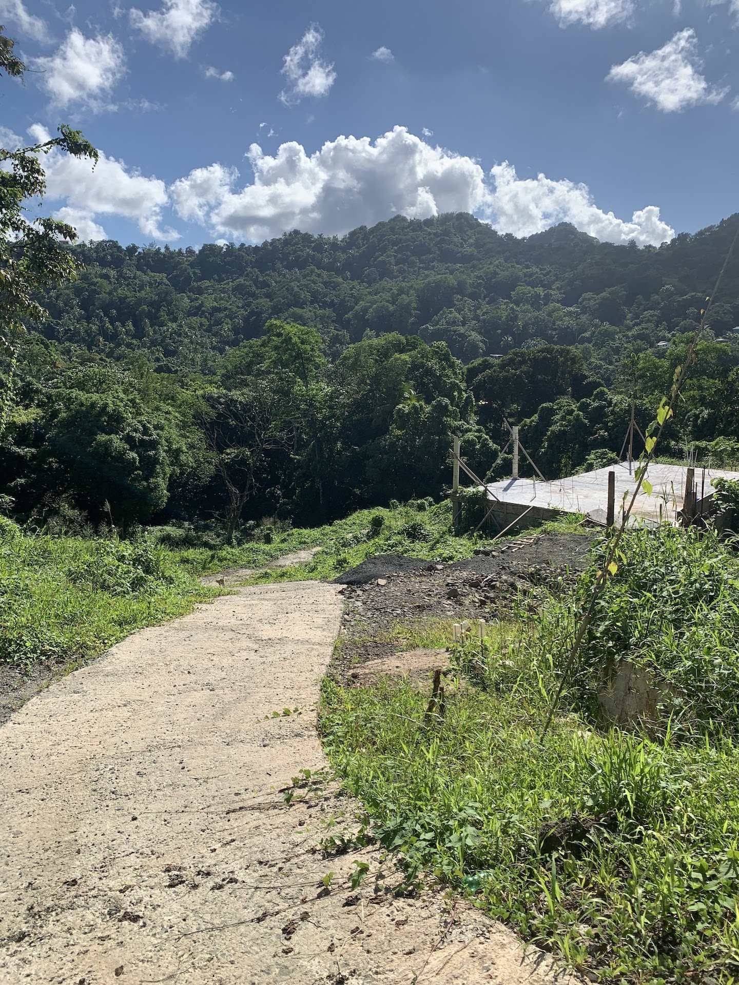 Land For Sale In Castries – More Than 2 Acres!