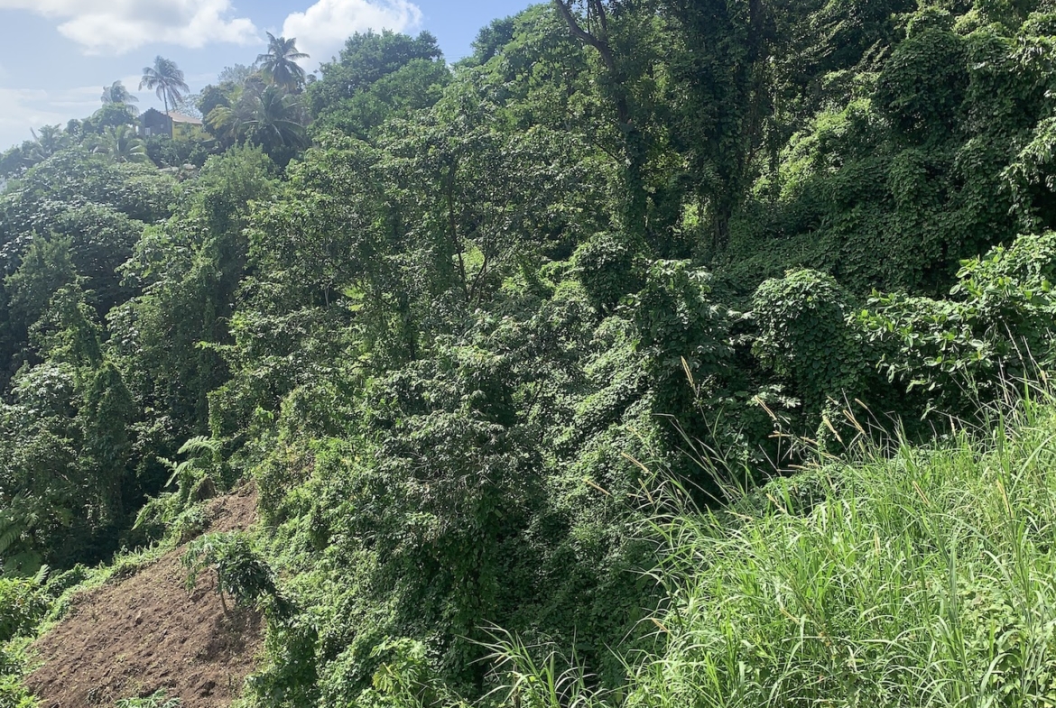 1 Acre of Land for sale in Ciceron, Castries