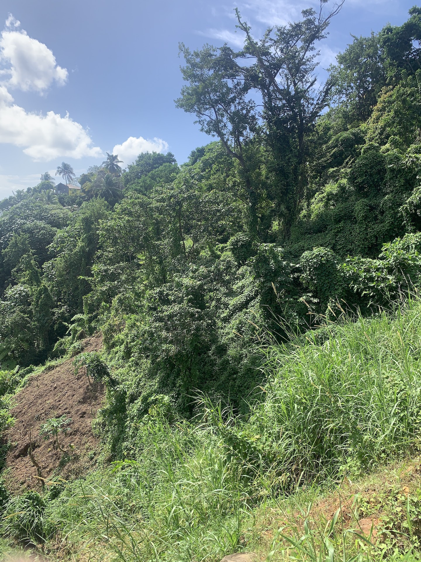 1 Acre of Land for sale in Ciceron, Castries