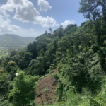 1 Acre of Land for sale in Ciceron