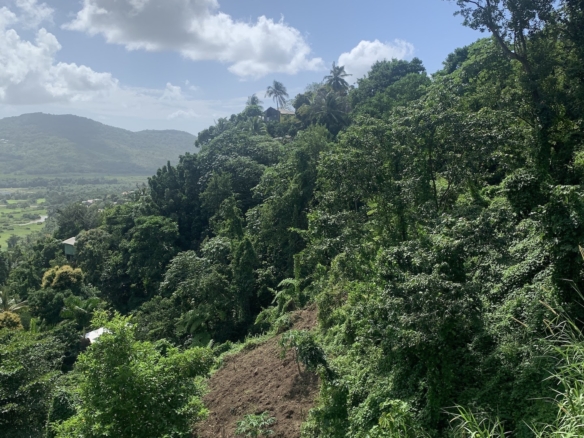 1 Acre of Land for sale in Ciceron