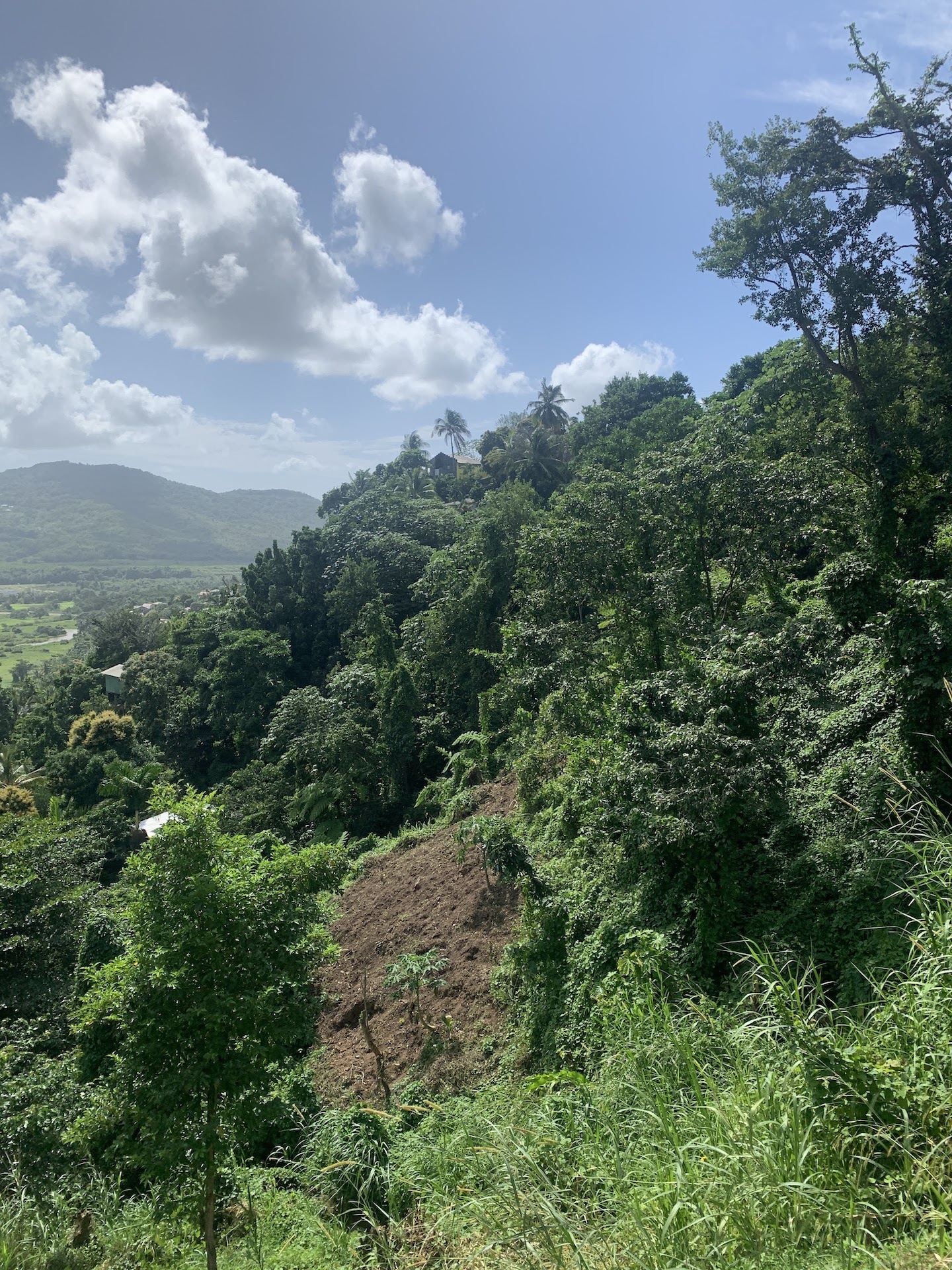 1+ Acre Lot in Ciceron, Castries for Sale Incredible value Golden Hour Group Saint Lucia