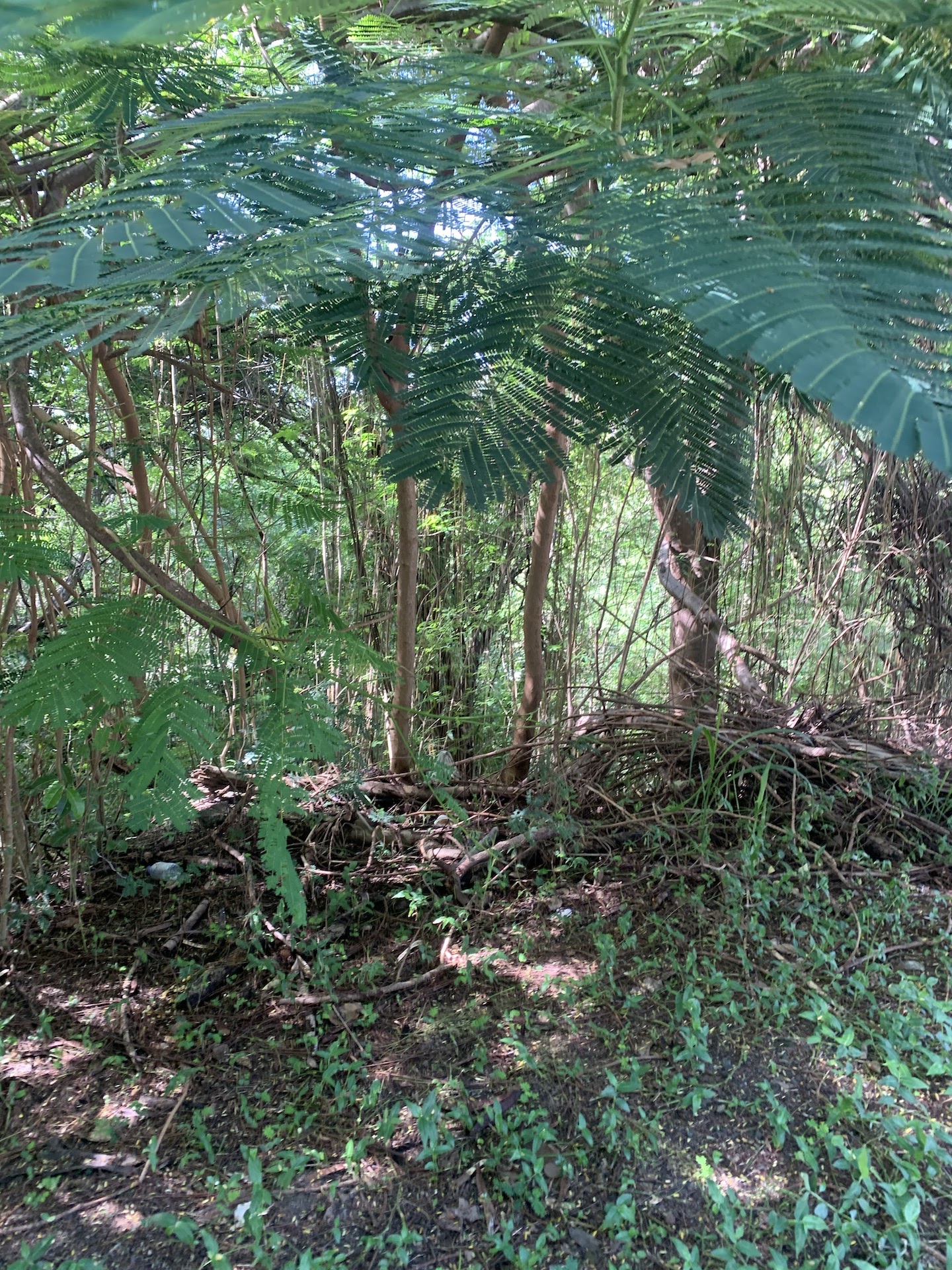 Lot For Sale In Cap Estate Lot For Sale In Cap Estate