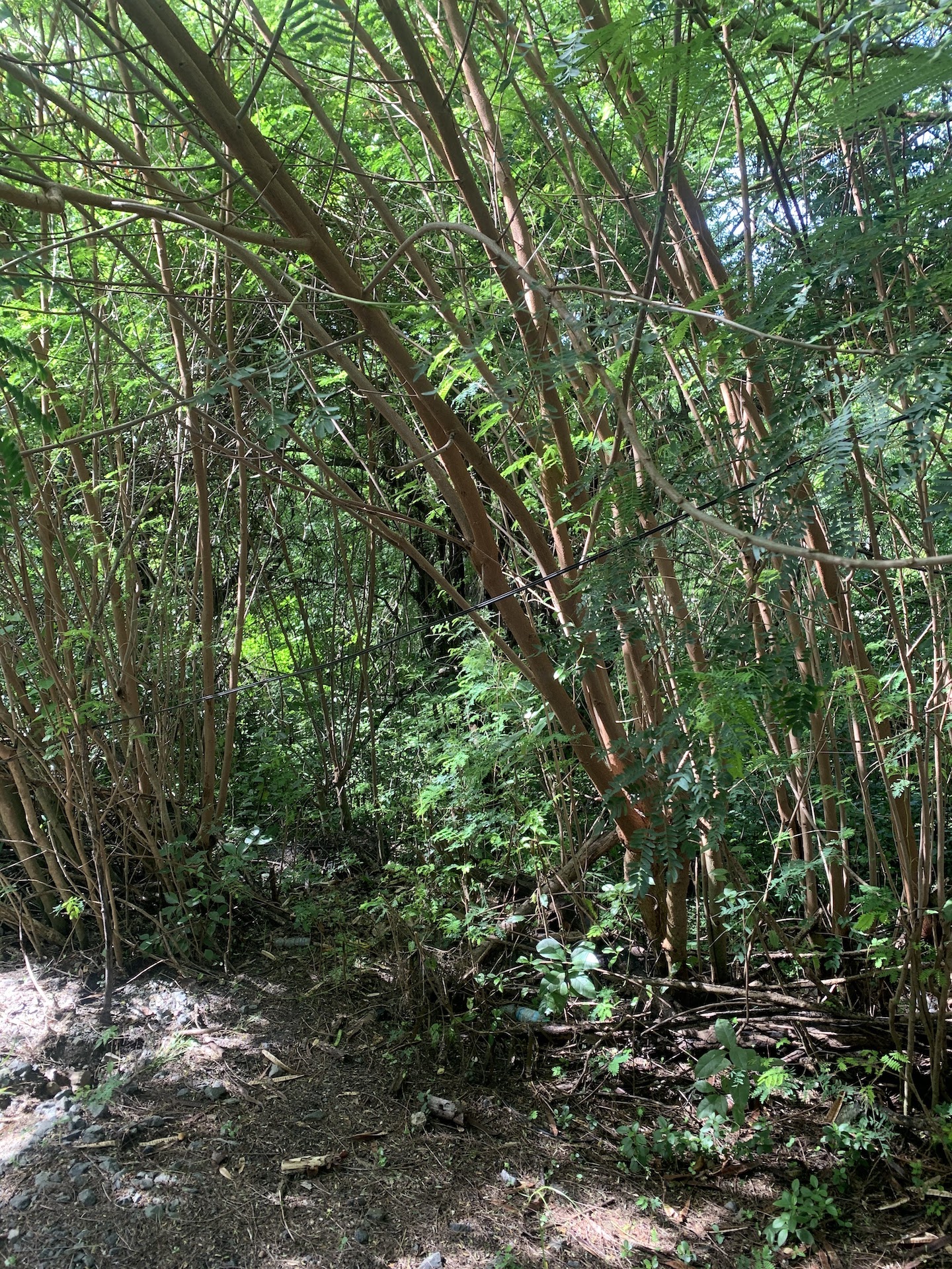 Lot For Sale In Cap Estate, Gros Islet Lot For Sale In Cap Estate, Gros Islet