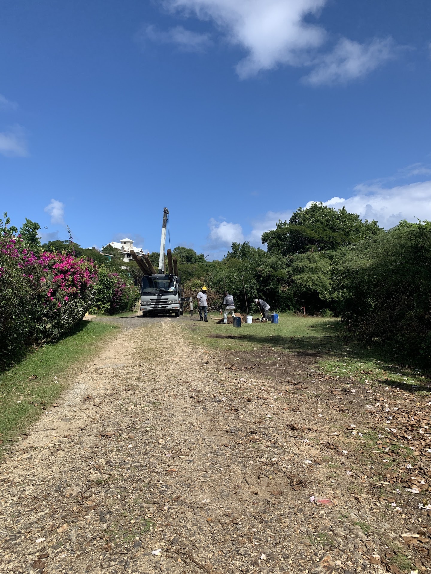 Land for Sale in Bellvue