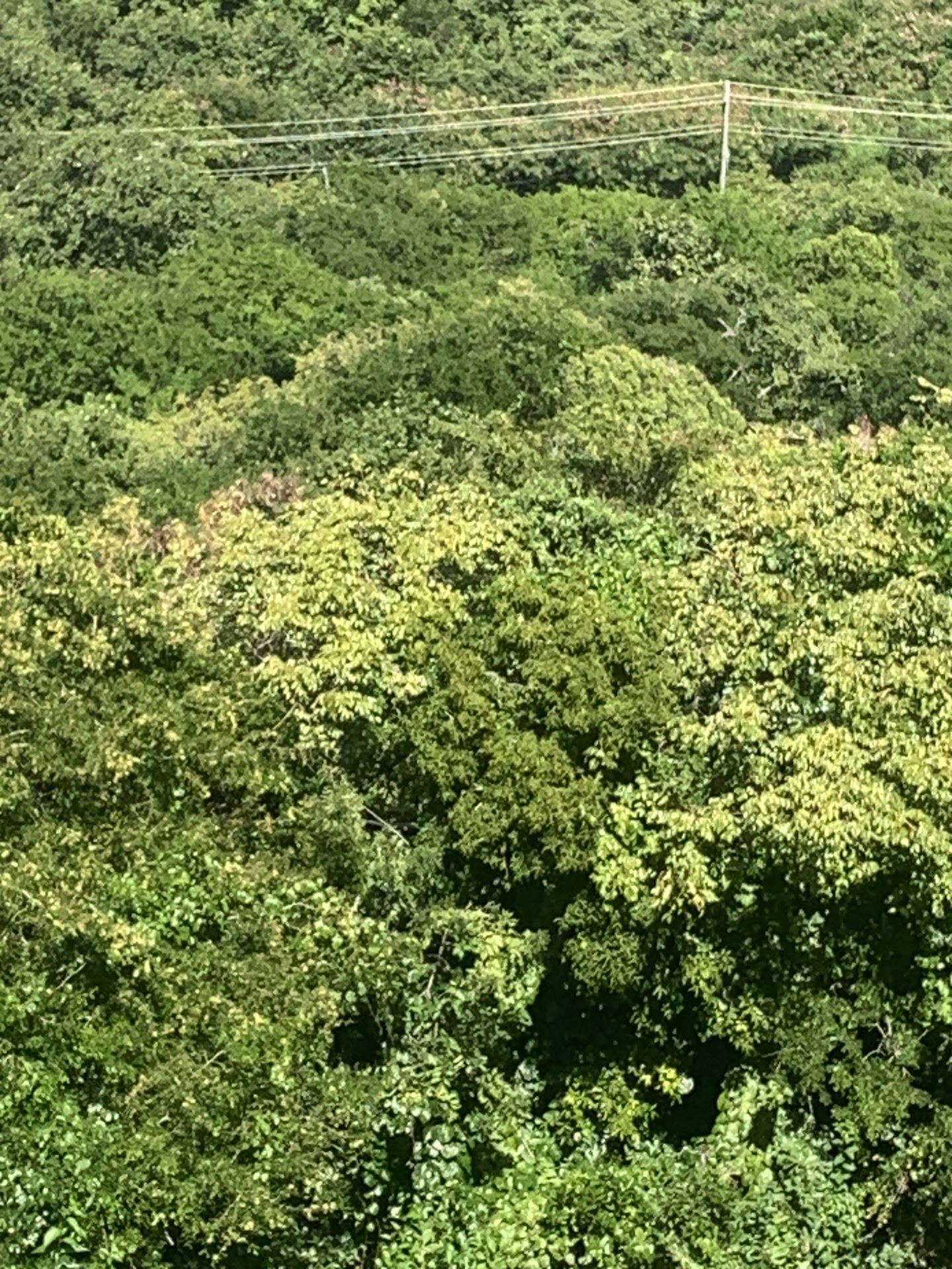 Beautiful Land for Sale in Gated Community located in Gros Islet, St Lucia Beautiful Land for Sale in Gated Community located in Gros Islet, St Lucia