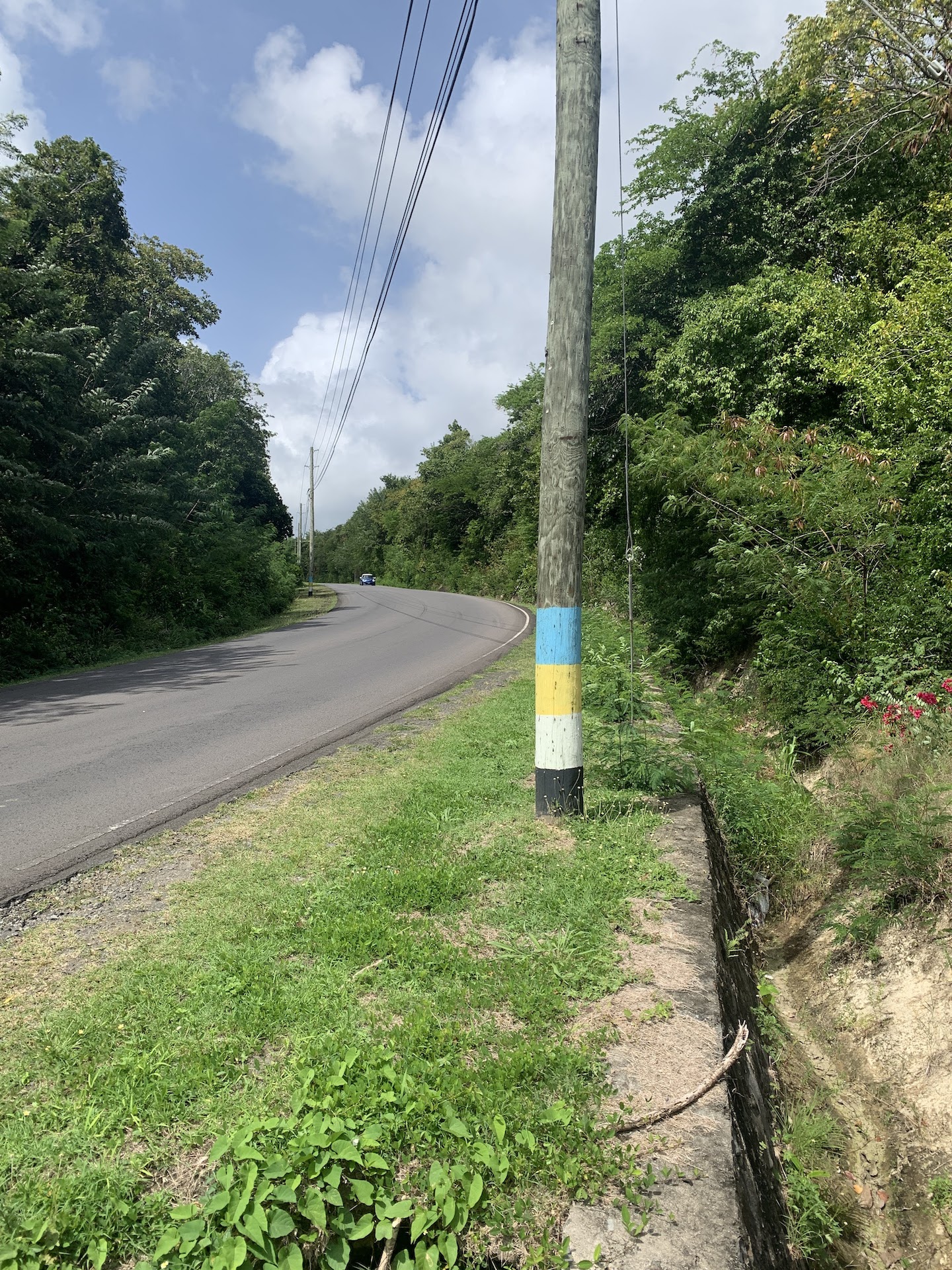 Land for Sale in Established Subdivision in Dennery 5