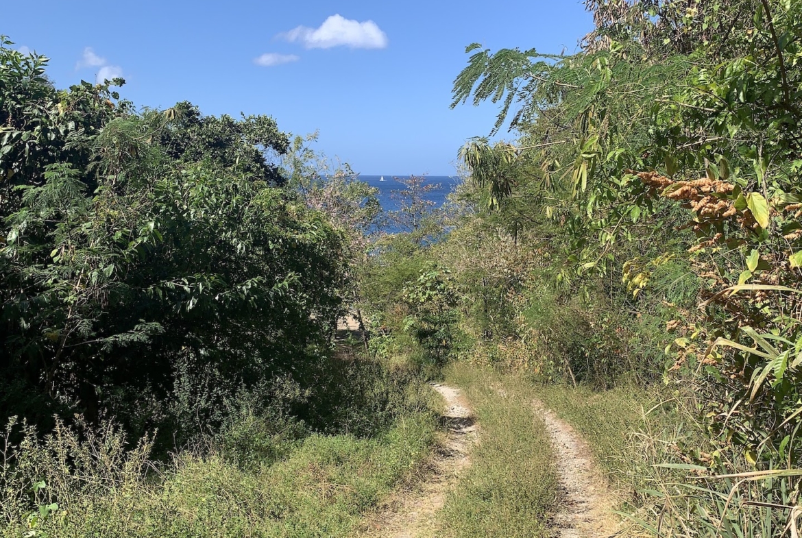 Beachfront Land for Sale in Anse La Raye Saint Lucia