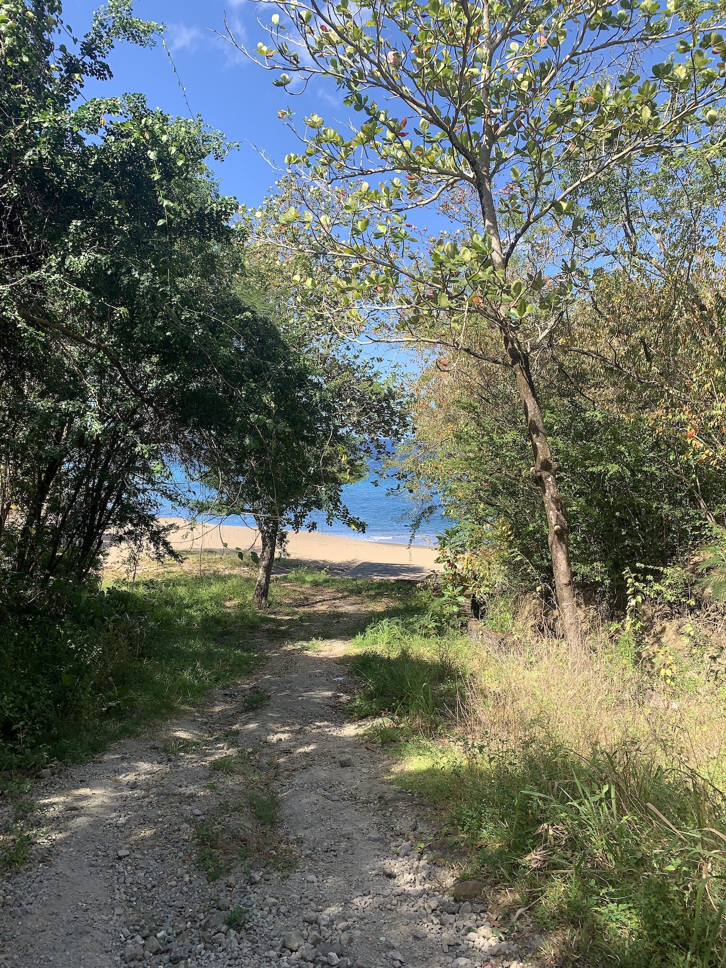 Beachfront Land for Sale in Anse La Raye