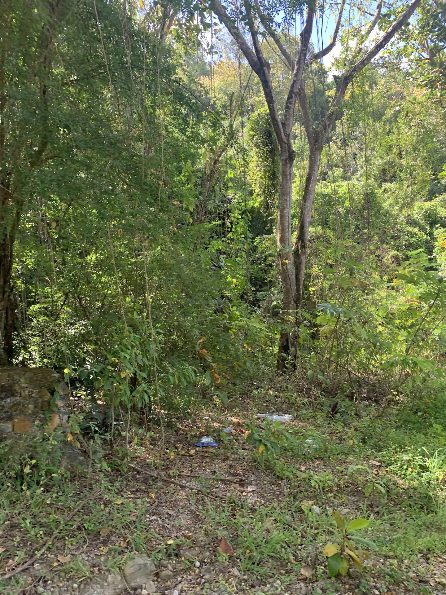 Beachfront Land for Sale in Anse La Raye St Lucia