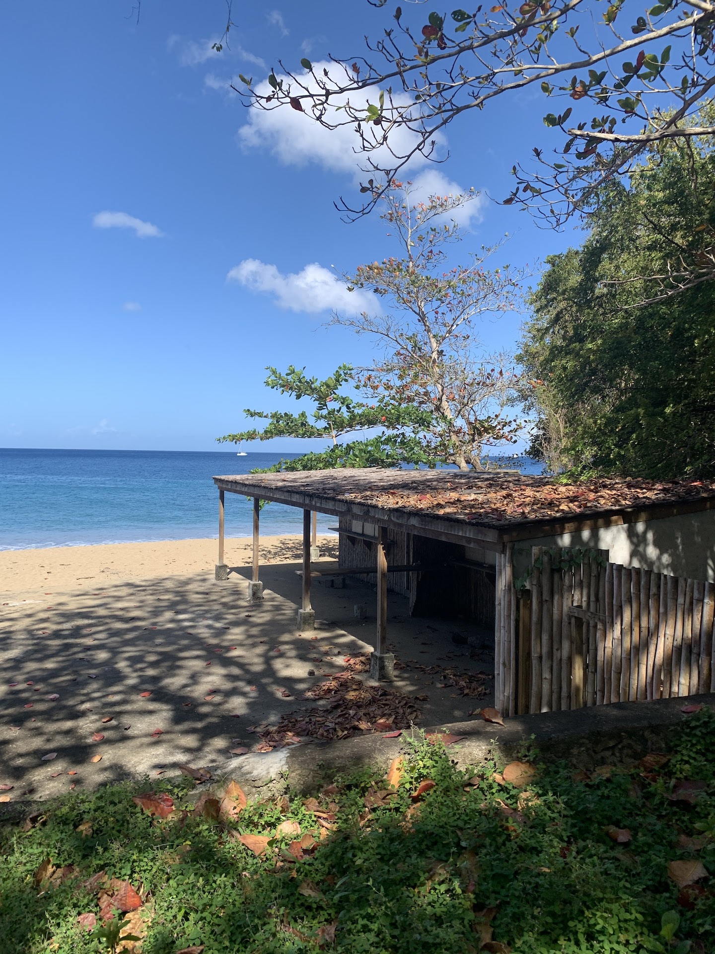 Beachfront Real Estate for Sale in Anse La Raye St Lucia