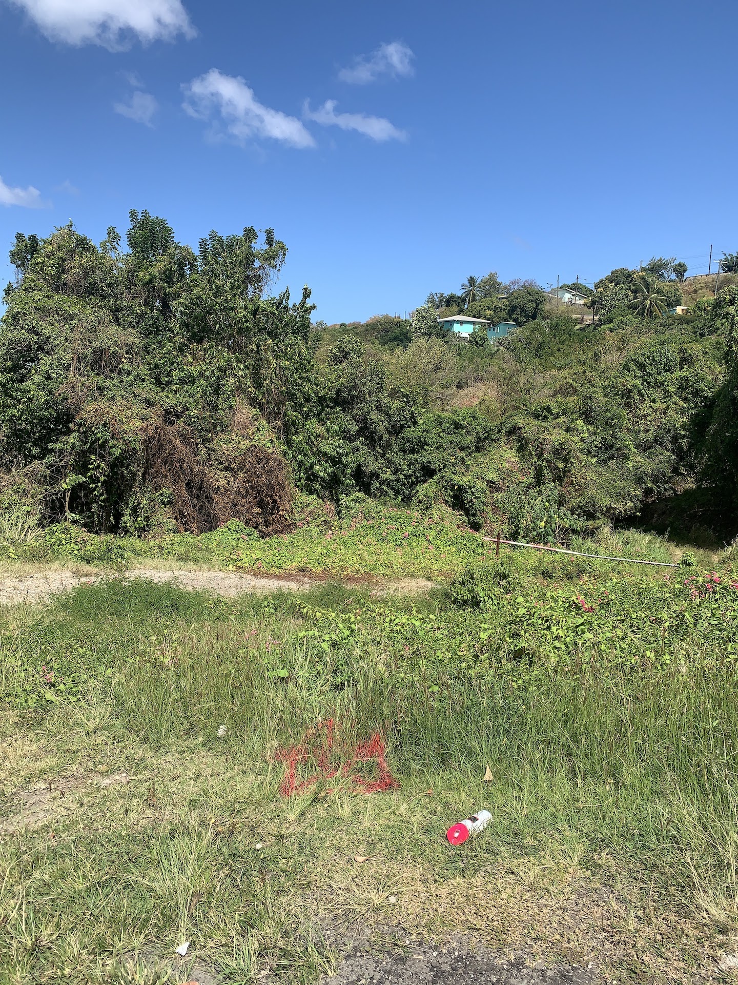 Beachfront Real Estate for Sale in Anse La Raye St Lucia