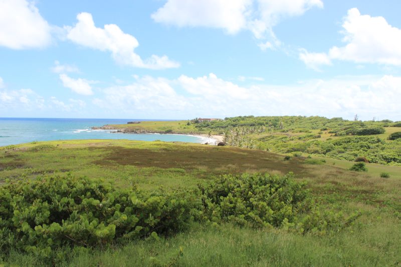 28 Acre Beachfront Real Estate For Sale in Micoud, Saint Lucia