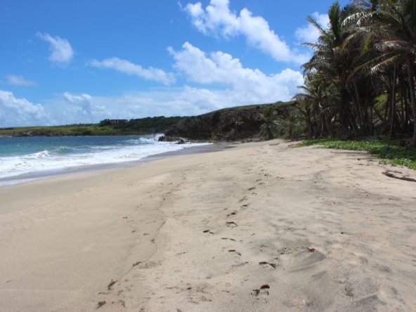 28 Acre Beachfront Land For Sale in Micoud, Saint Lucia
