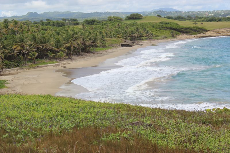 28 Acre Beachfront Land For Sale in Micoud